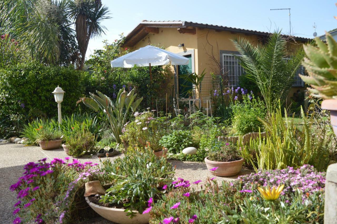 Villa Le Cicale à Casal Palocco Extérieur photo